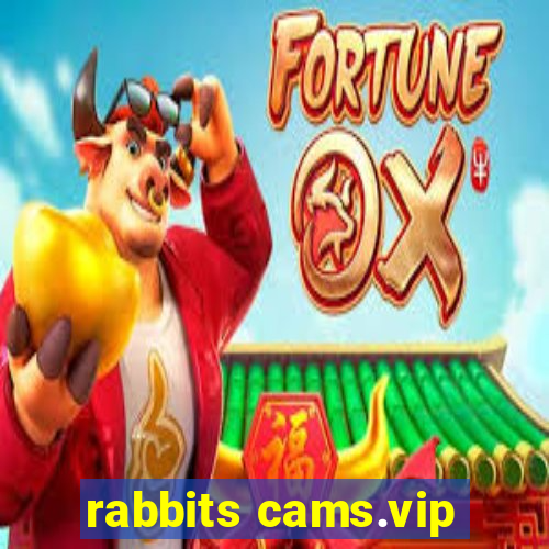 rabbits cams.vip